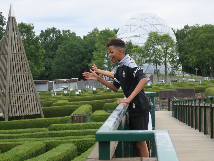 Zum Saurierpark und seinen Nachbarn