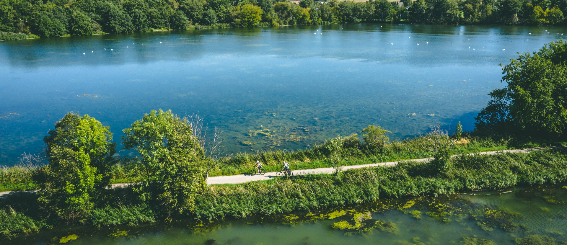 Szlak rowerowy nad Szprewą Krajobraz górnołużyckich wrzosowisk i stawów