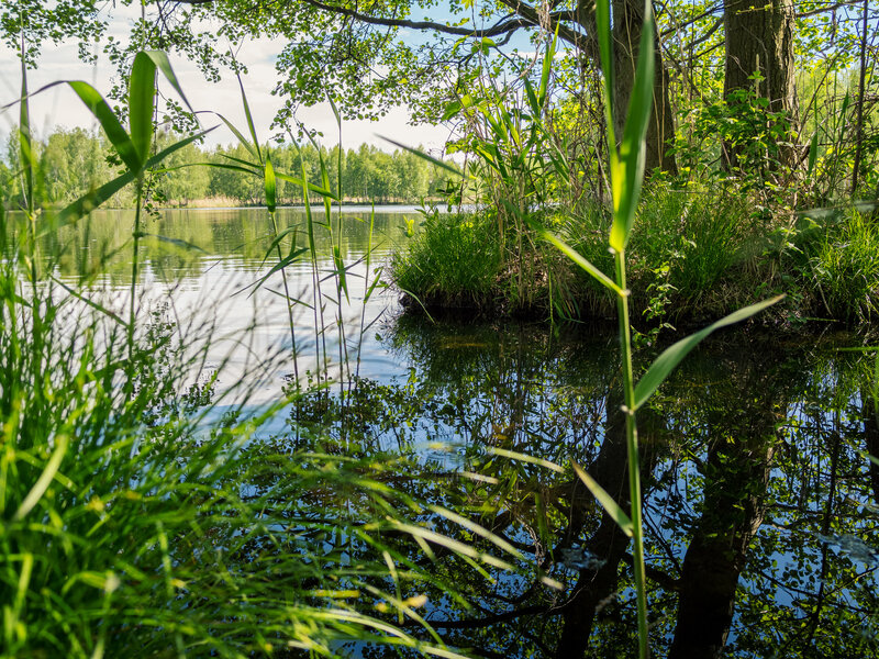 Biosphere reserve