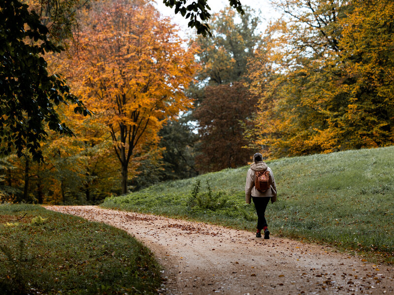 Podzimní procházka Muskauerovým parkem © Philipp Herfort Abbildung Podzimní procházka Muskauerovým parkem © Philipp Herfort
