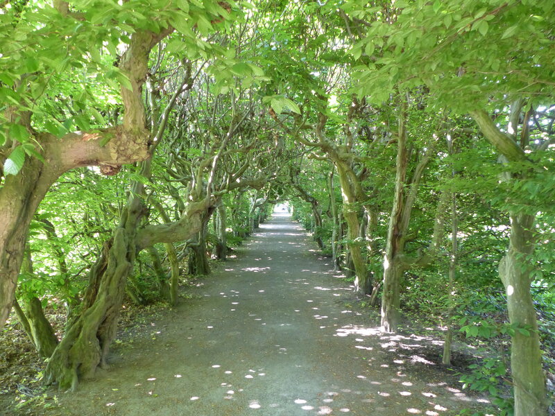 Pulsnitz Schlosspark Wandelgang