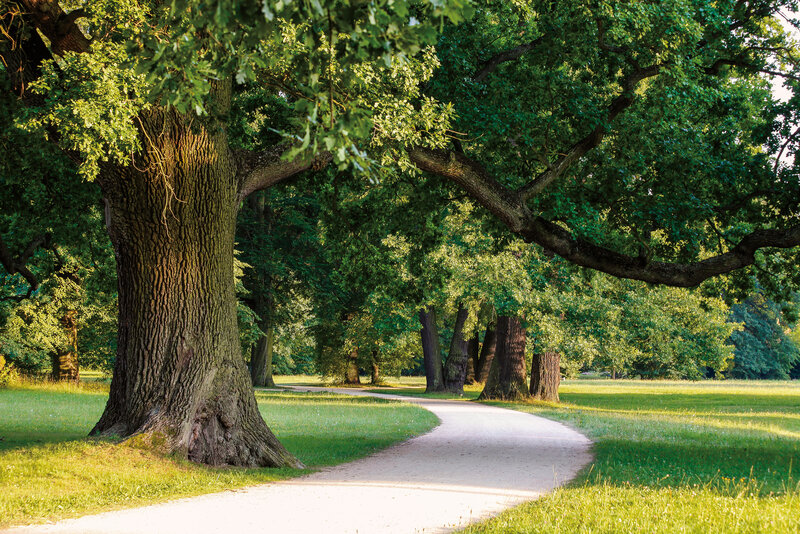 Abbildung Im Schlosspark
