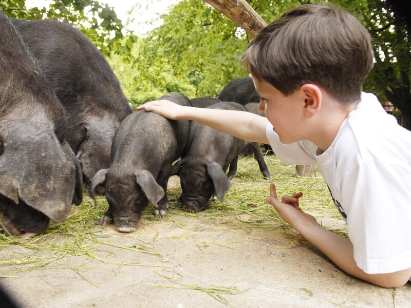 Abbildung Naturschutz Tierpark Goerlitz