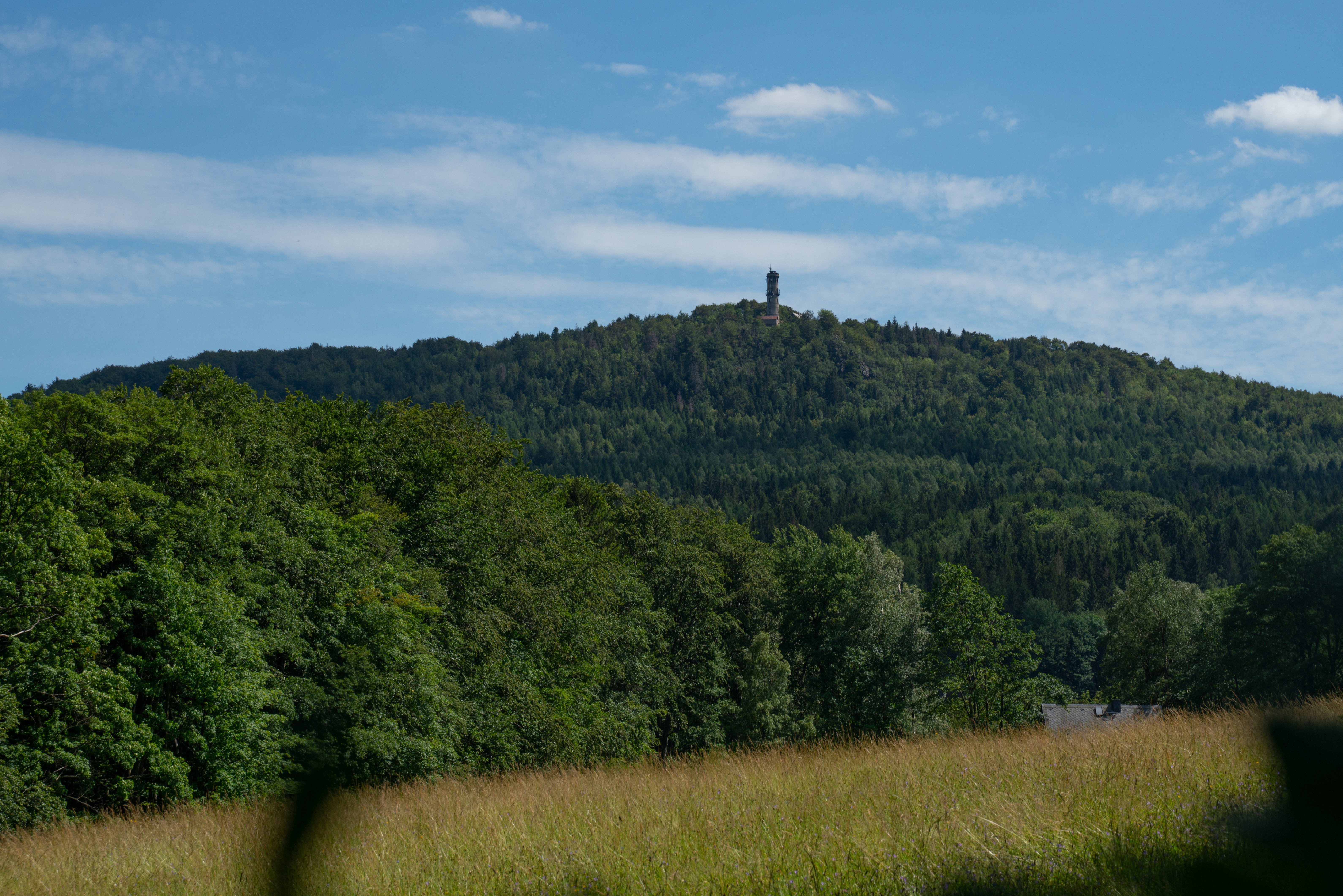 V Hochwaldu