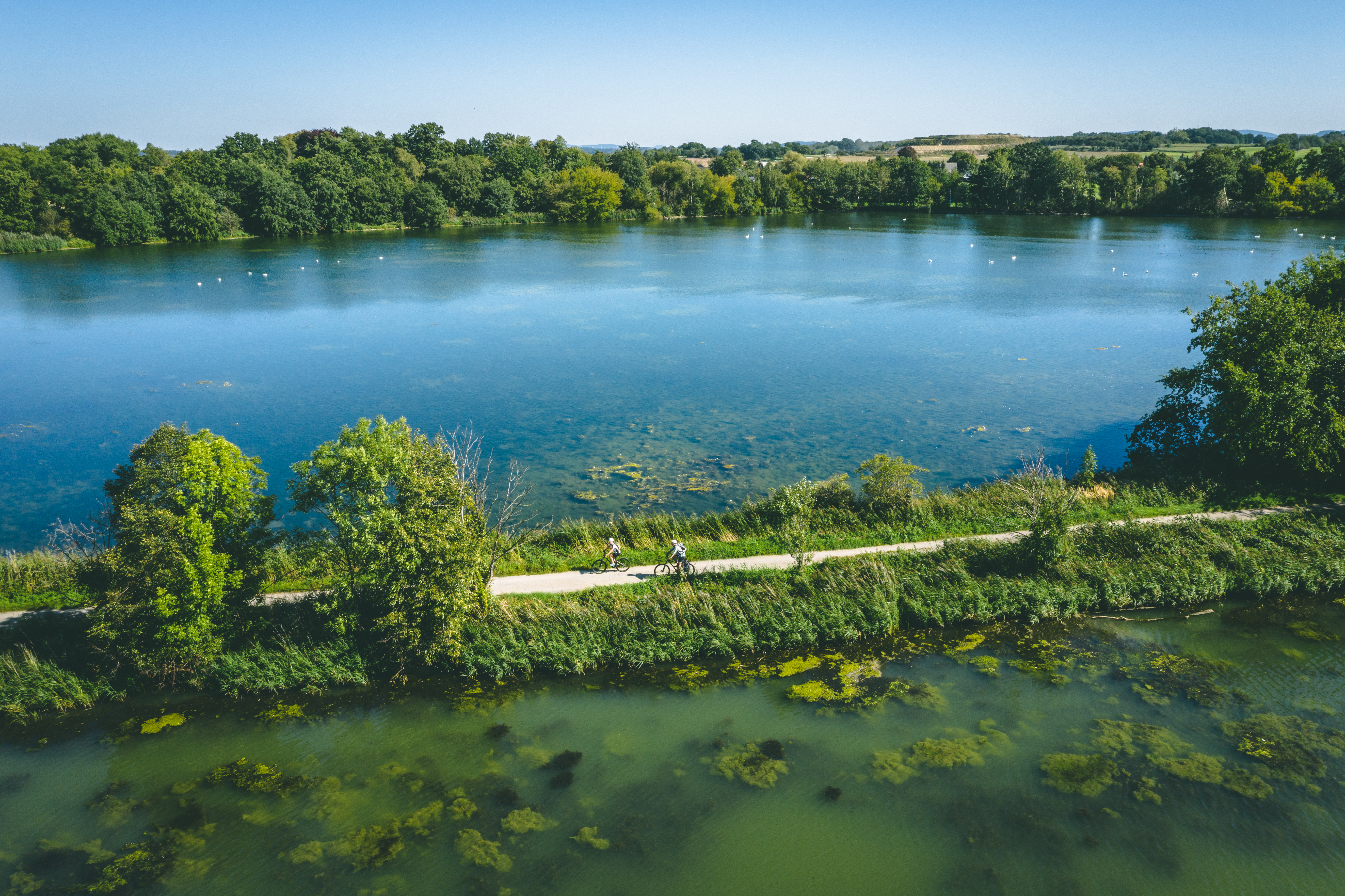 Szlak rowerowy nad Szprewą Krajobraz górnołużyckich wrzosowisk i stawów