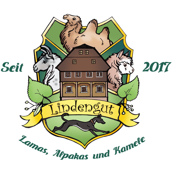 Logo des Anbieters