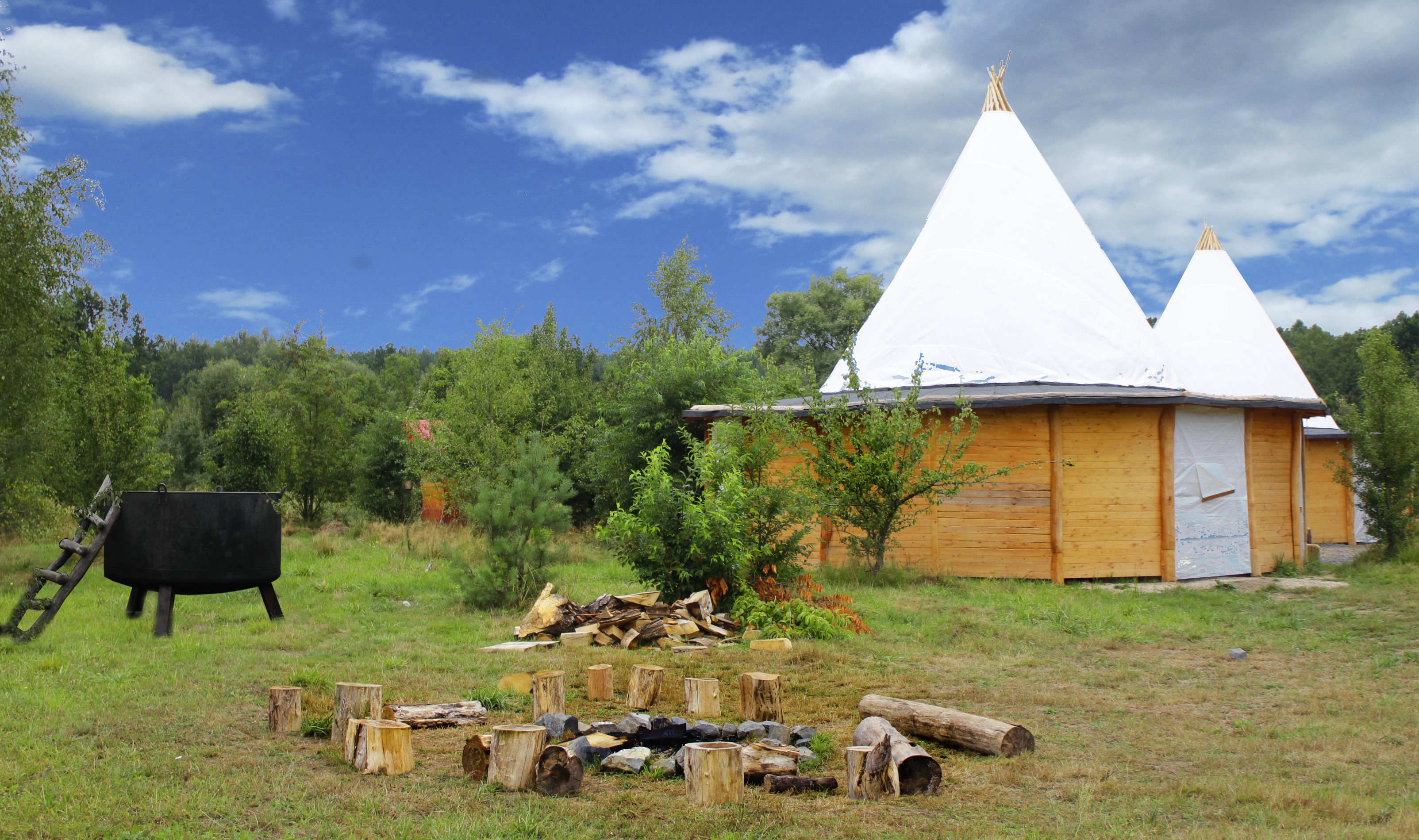 Tree house camp