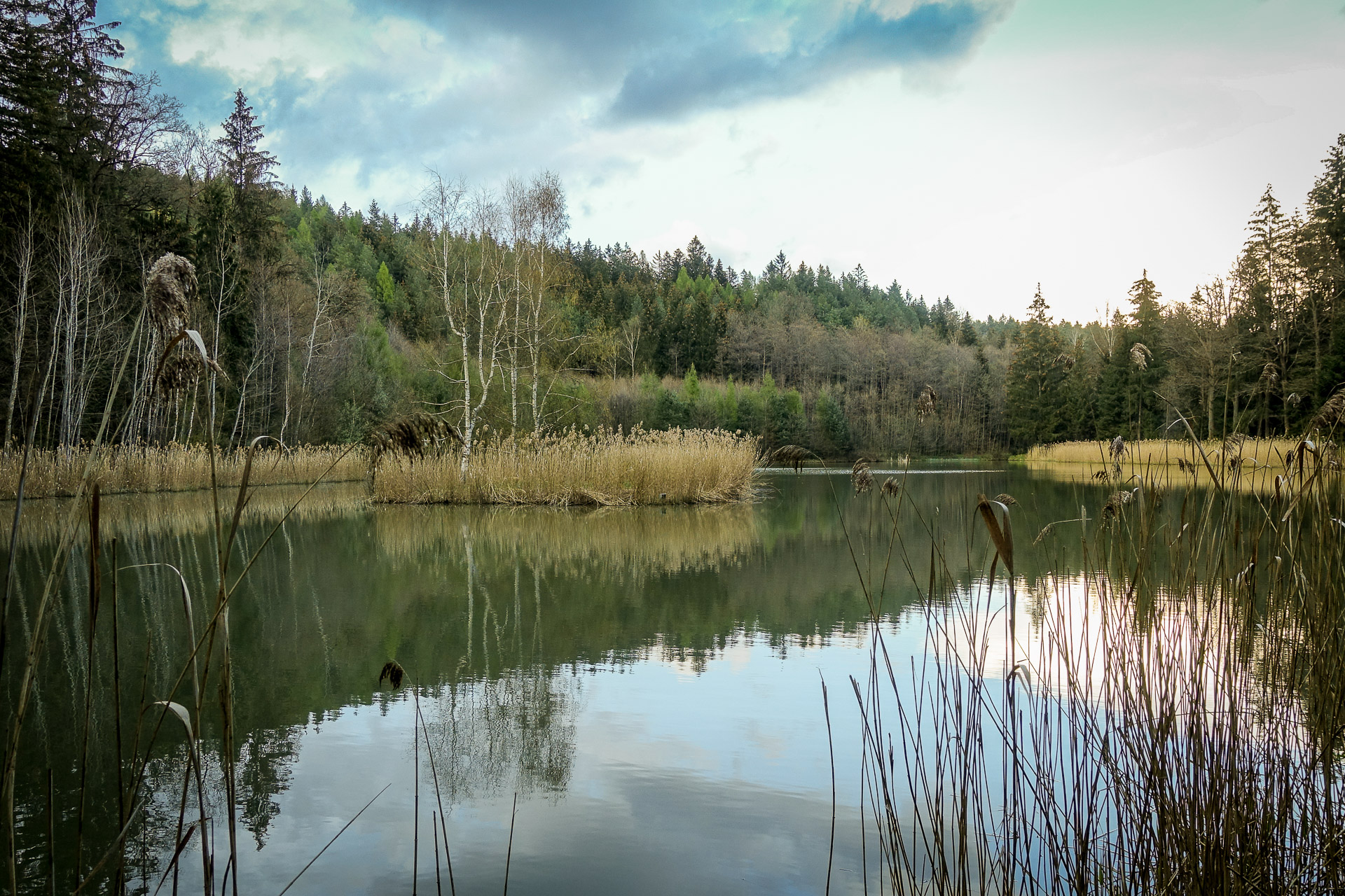 Czysta natura