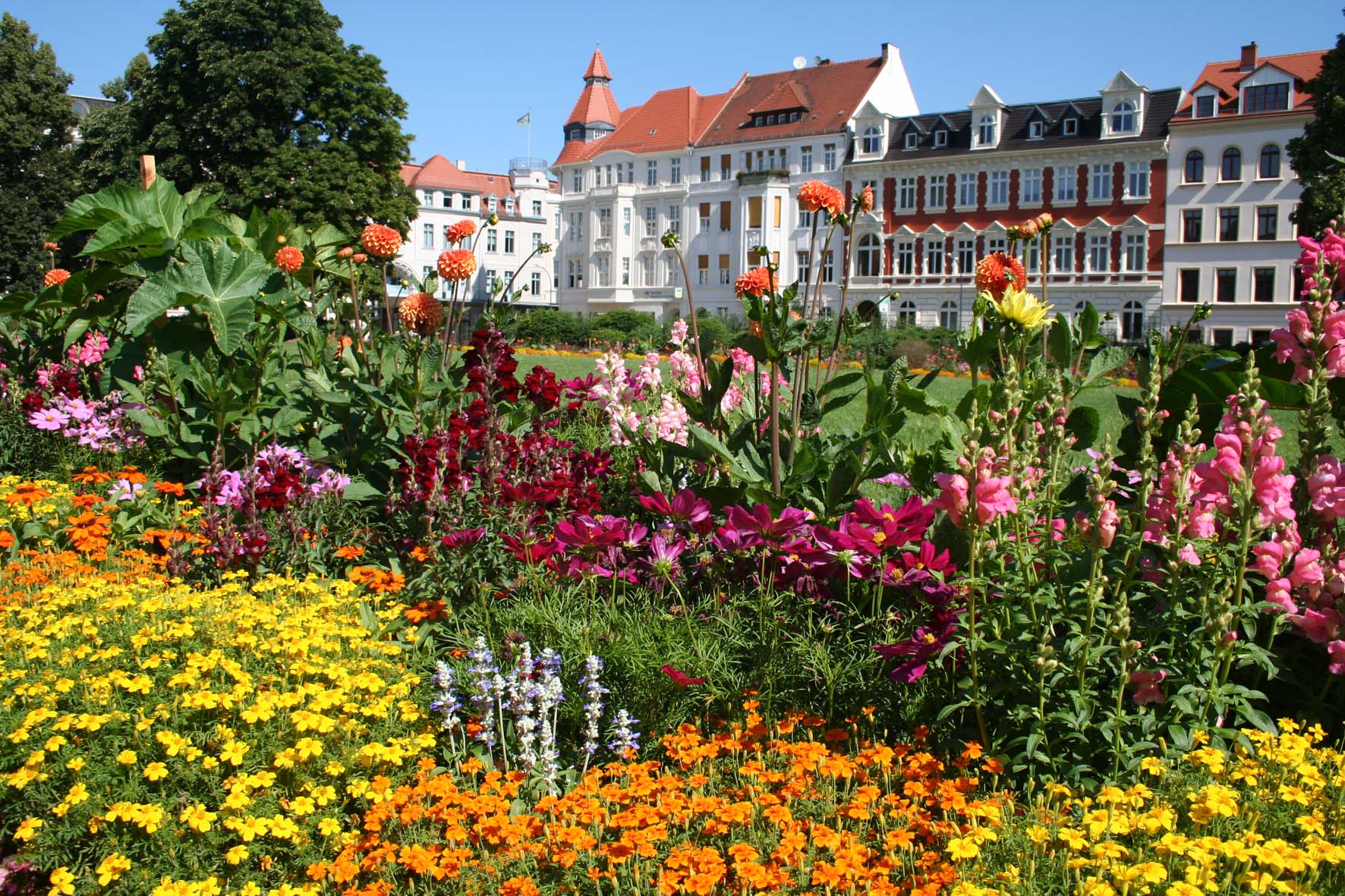Sinnesrausch Oberlausitz