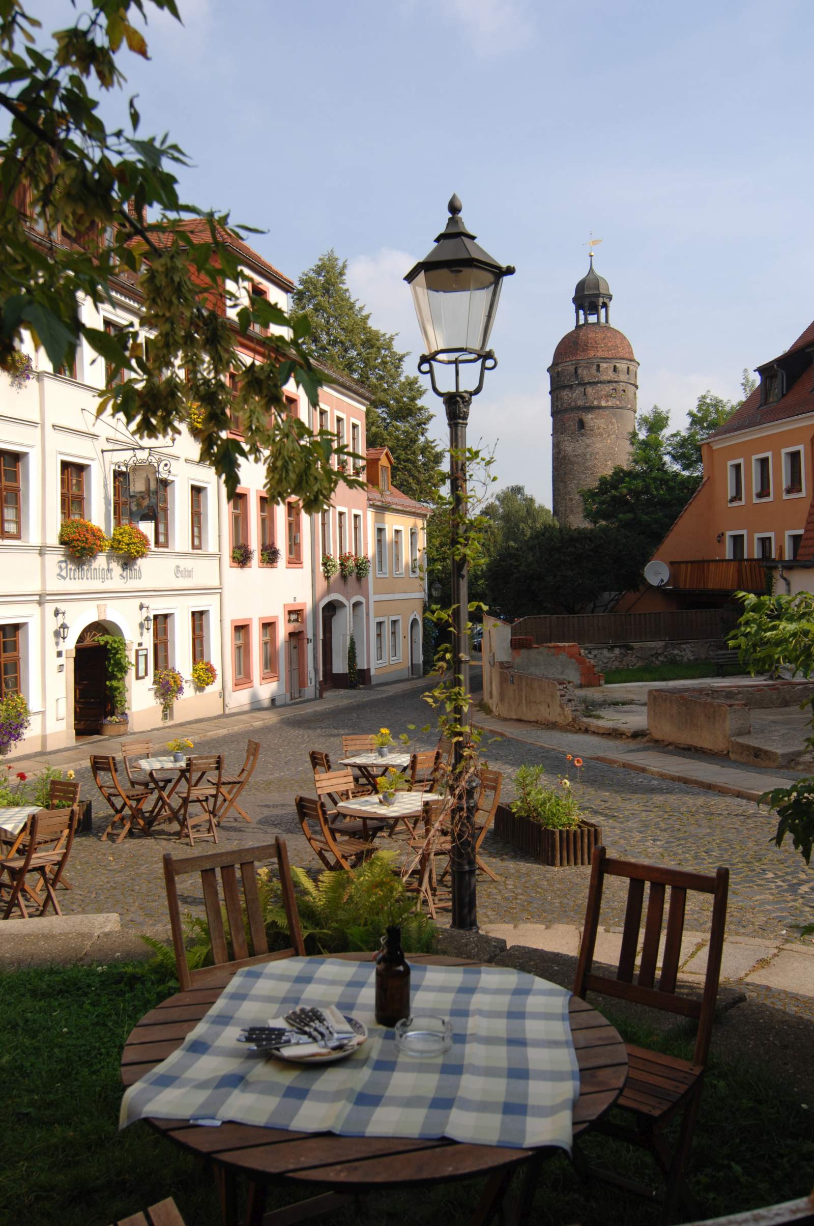 Stare Miasto Buettnerstrasse Trójnogi pies