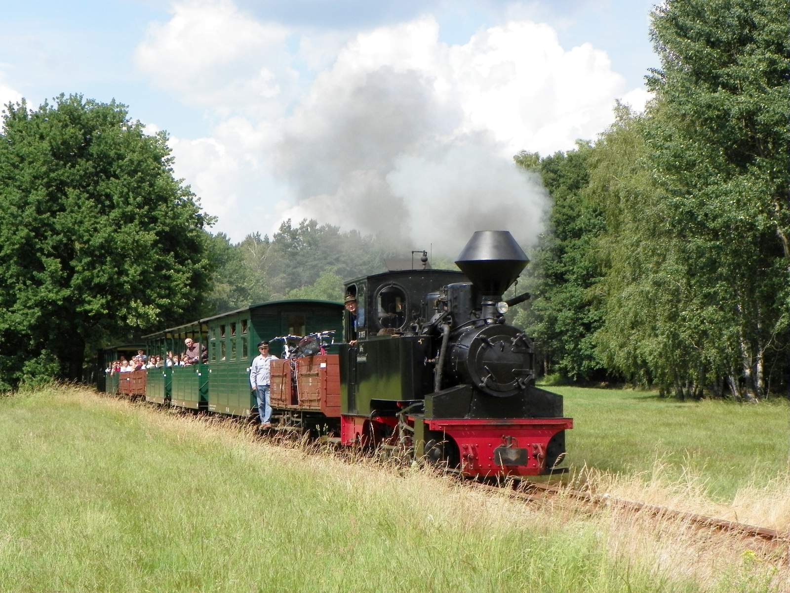 Muskau forest railroad