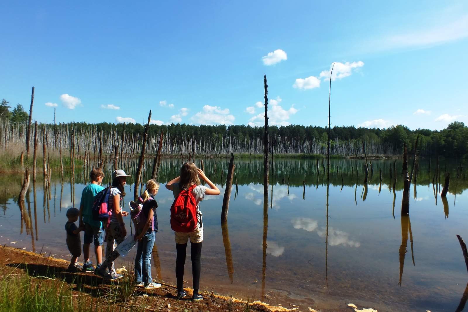 zrcadlové jezero Starý důl Hermann