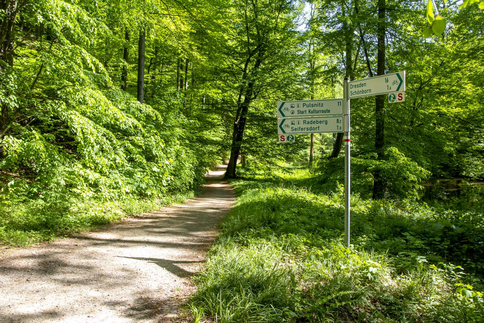 Značení cyklotras v údolí Seifersdorfu