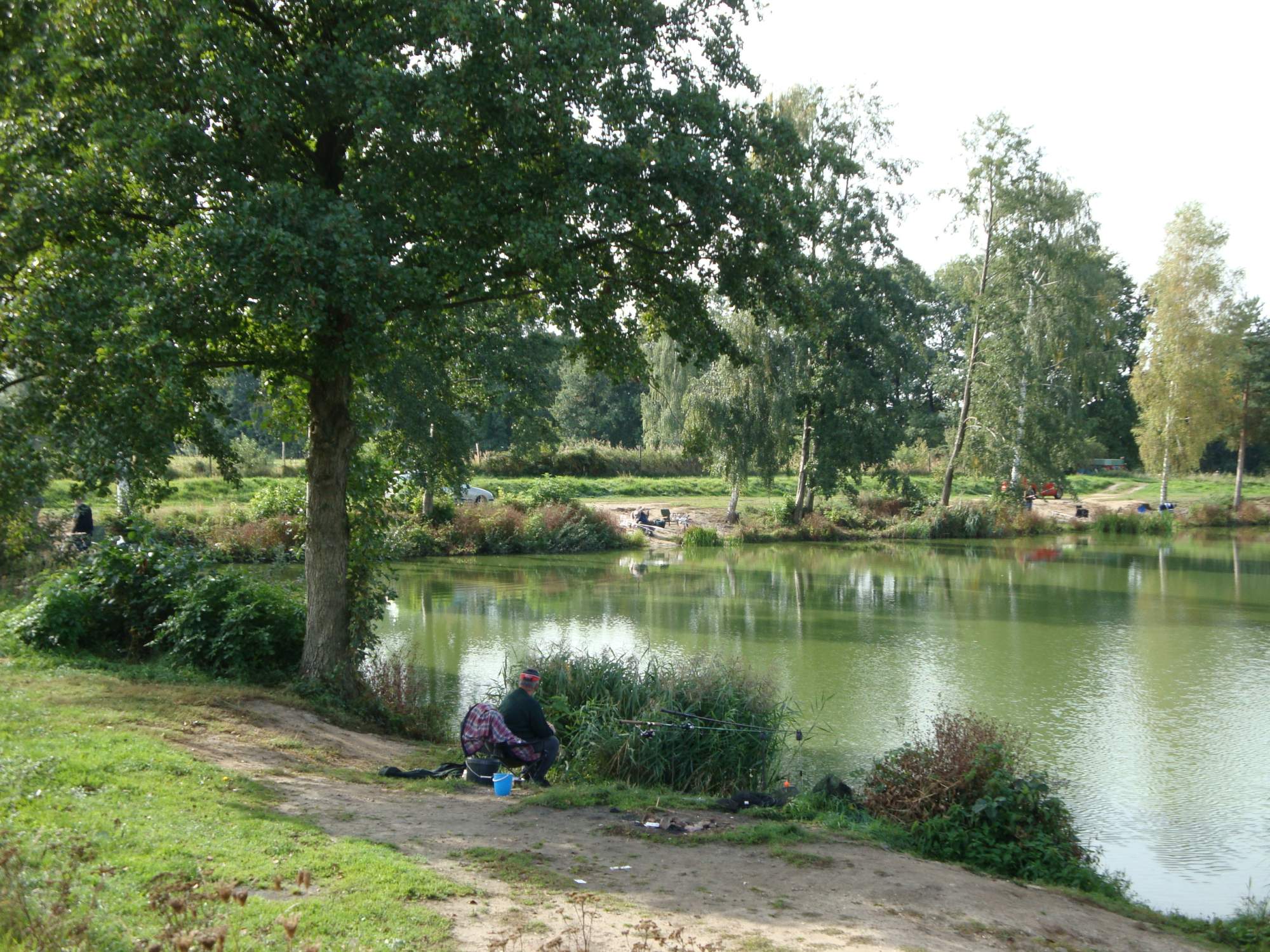 Wędkarz nad stawem