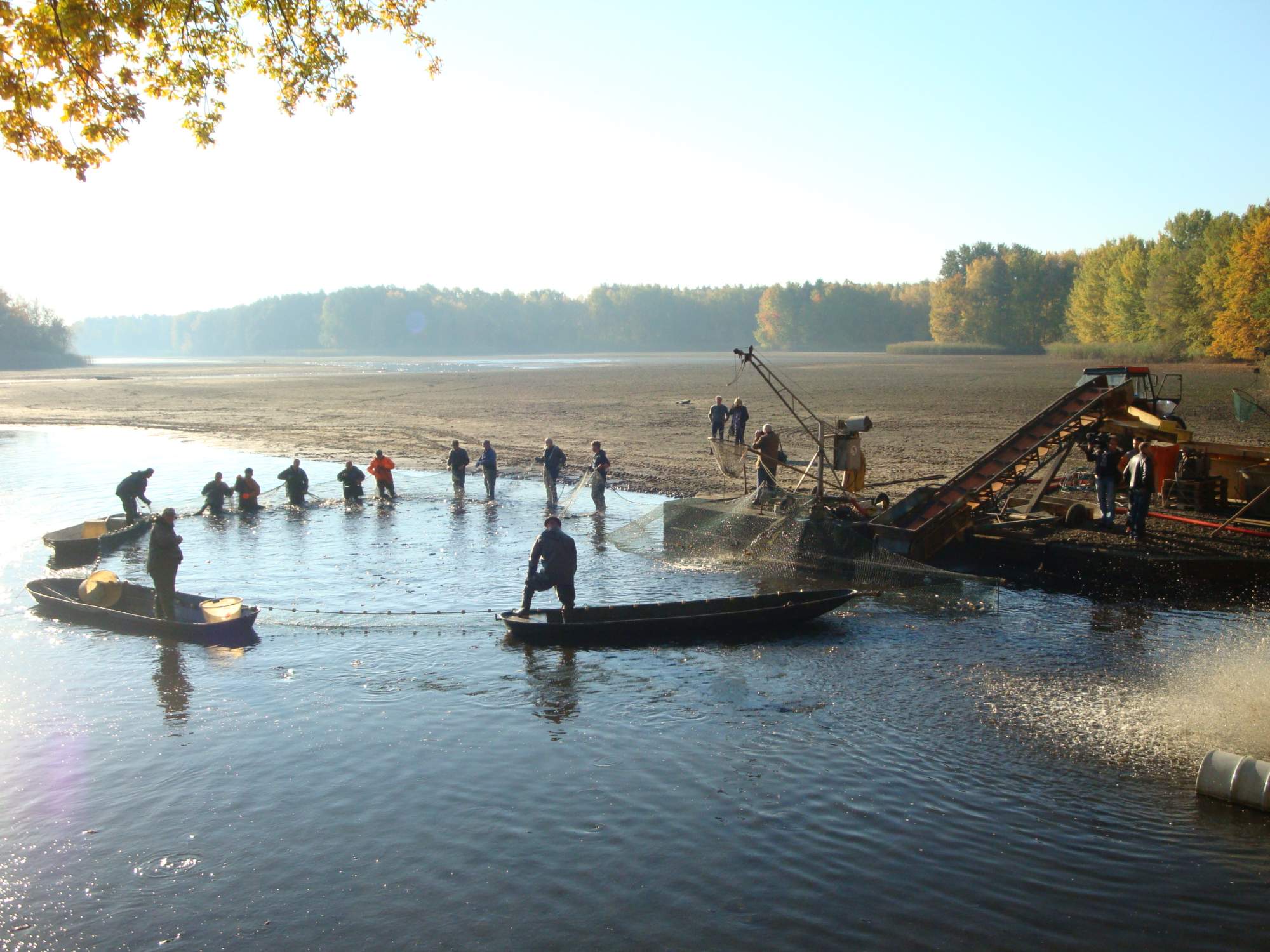 Połów łososia