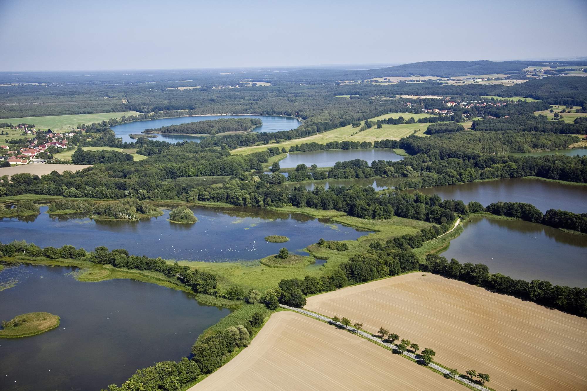 Ponds near Bautzen