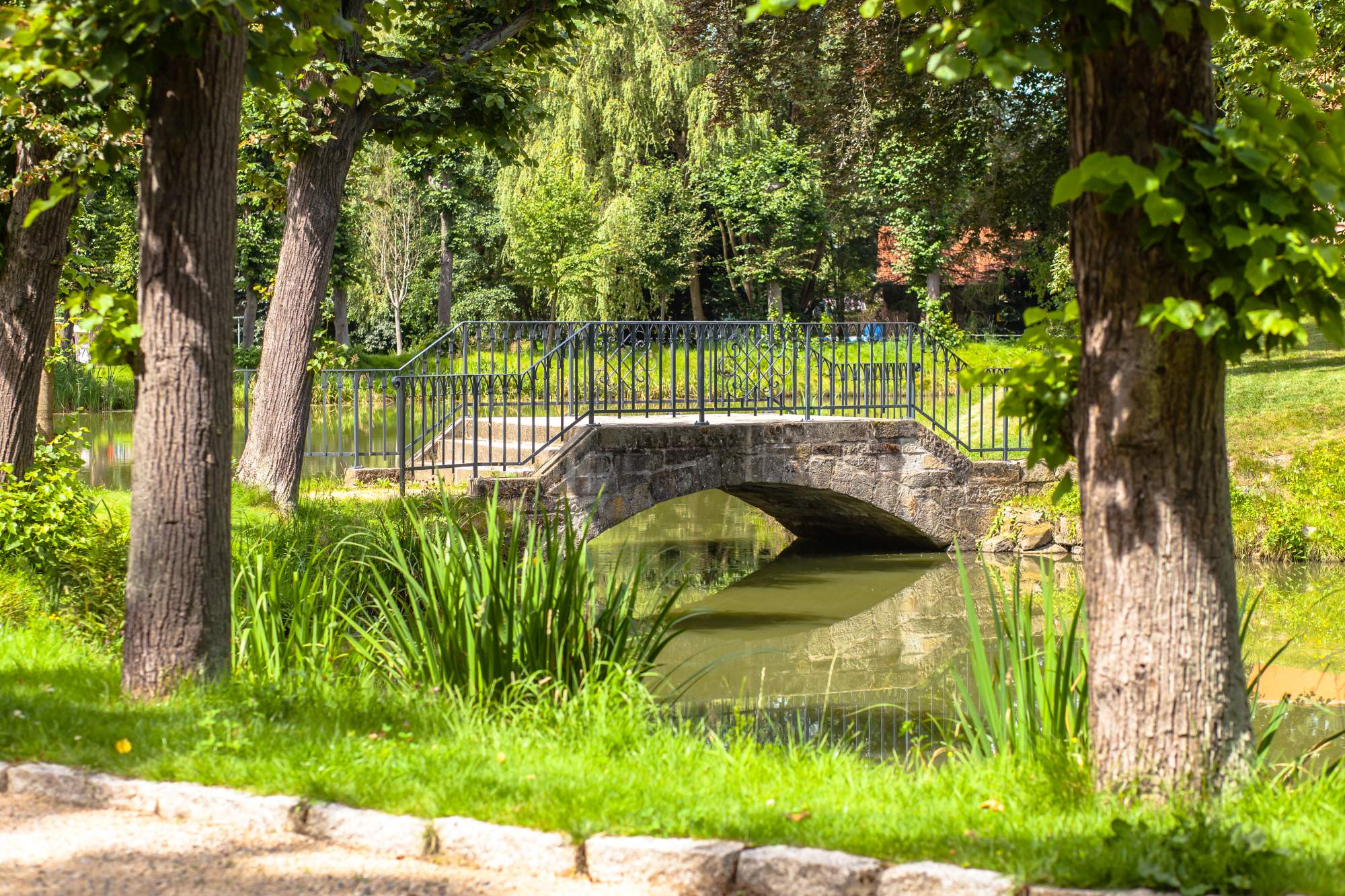 Zámecký park Grossharthau