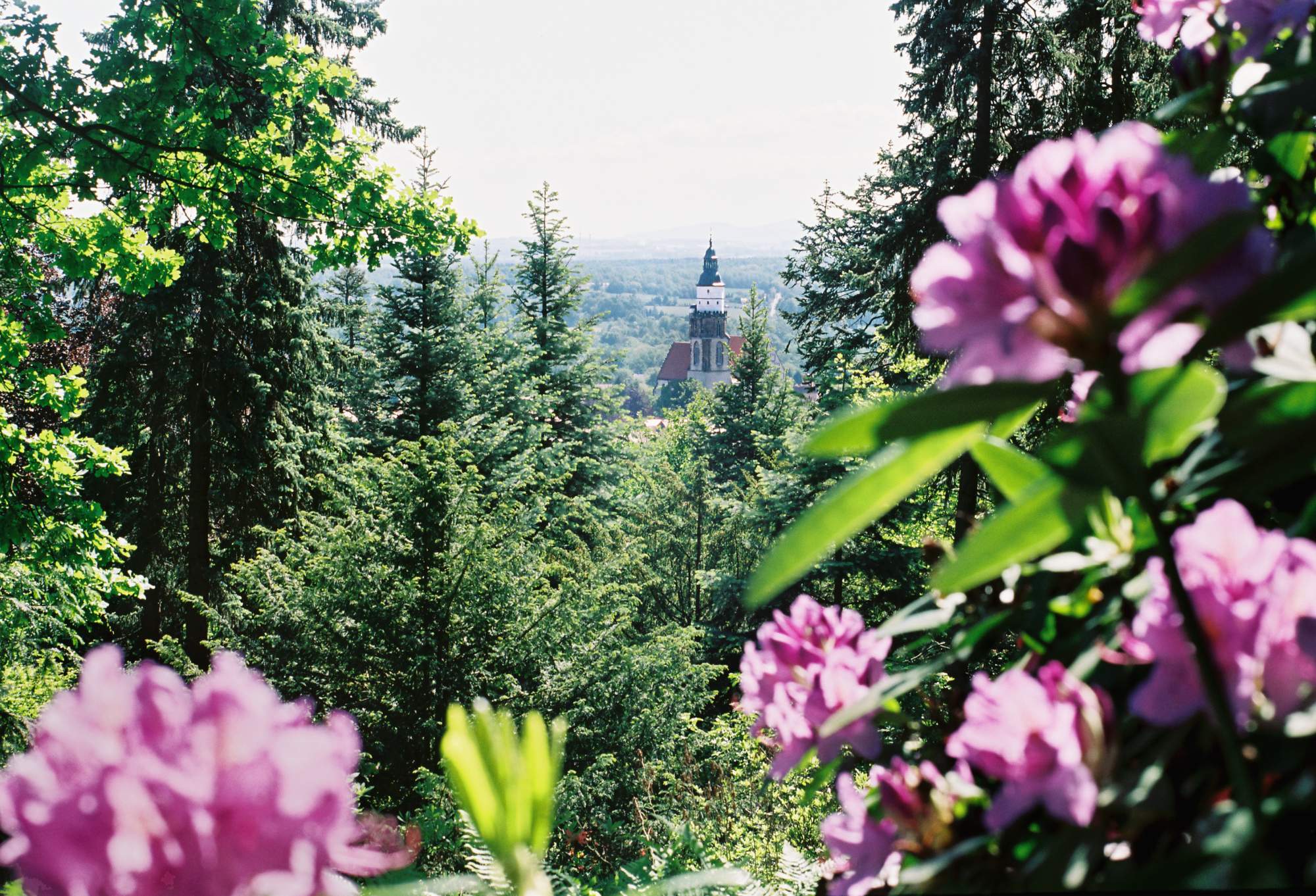 Kamenz view from the Hutberg to the Marienkirche