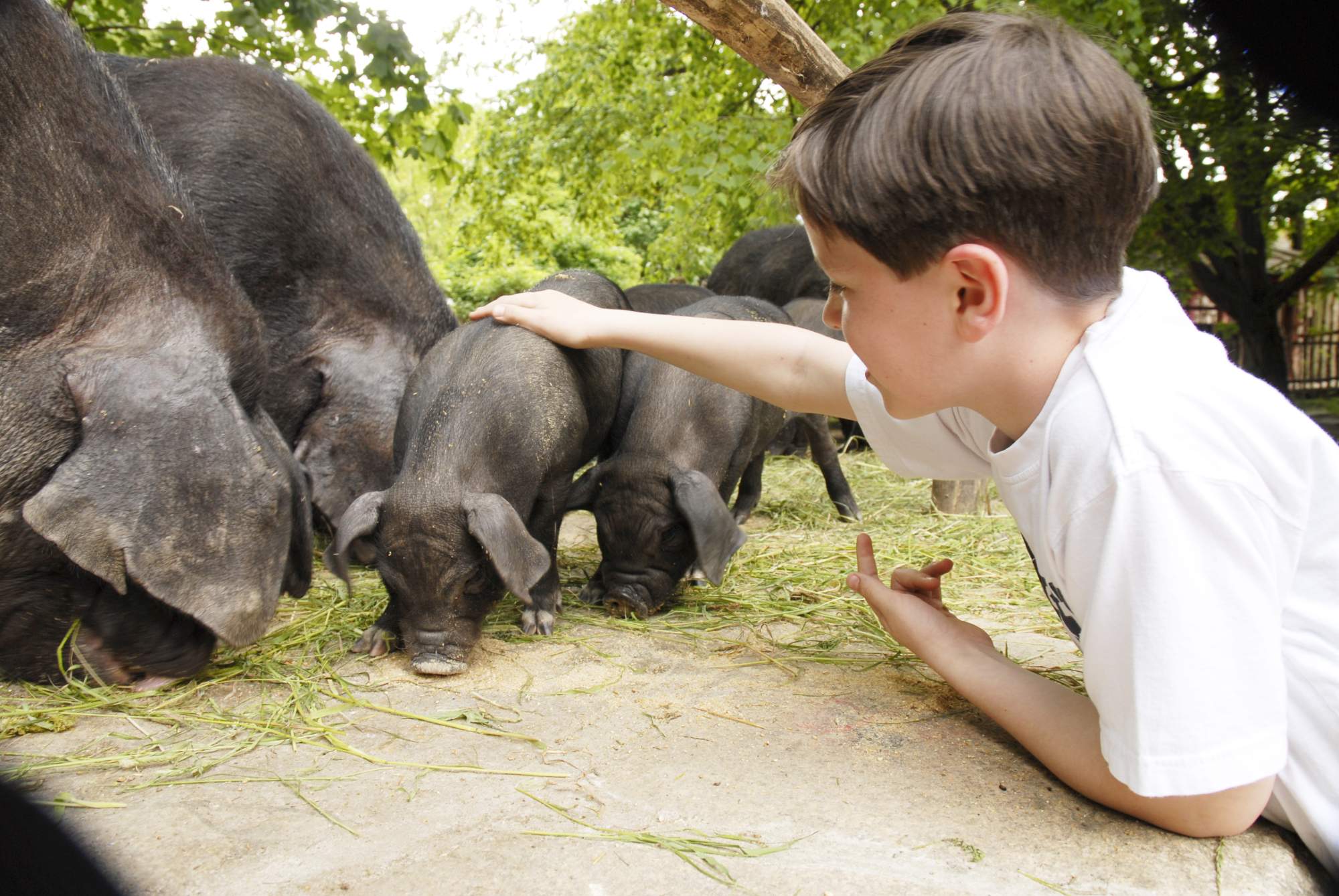 Zoo Goerlitz pro ochranu přírody