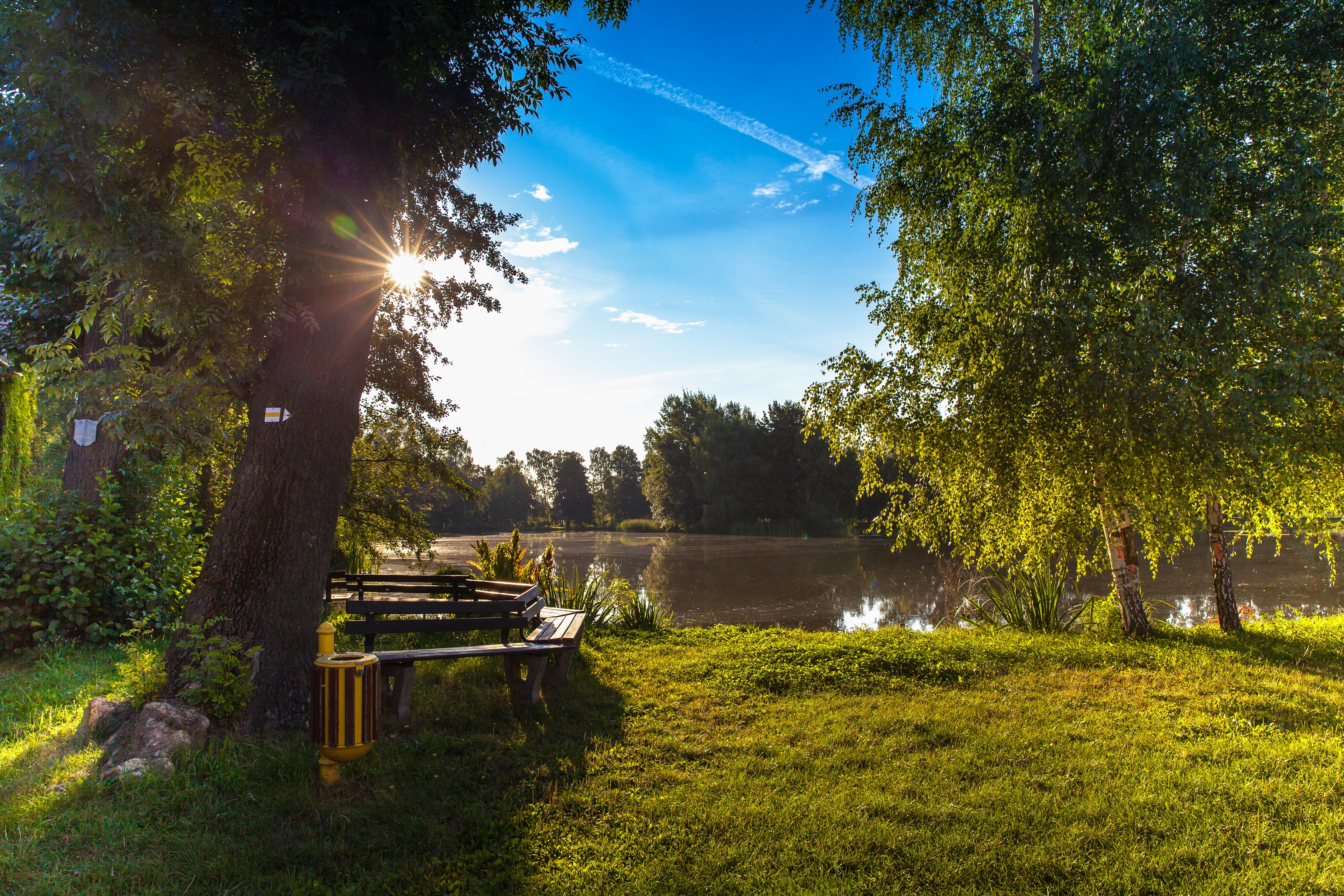 Abbildung Upper Lusatian heath and pond landscape