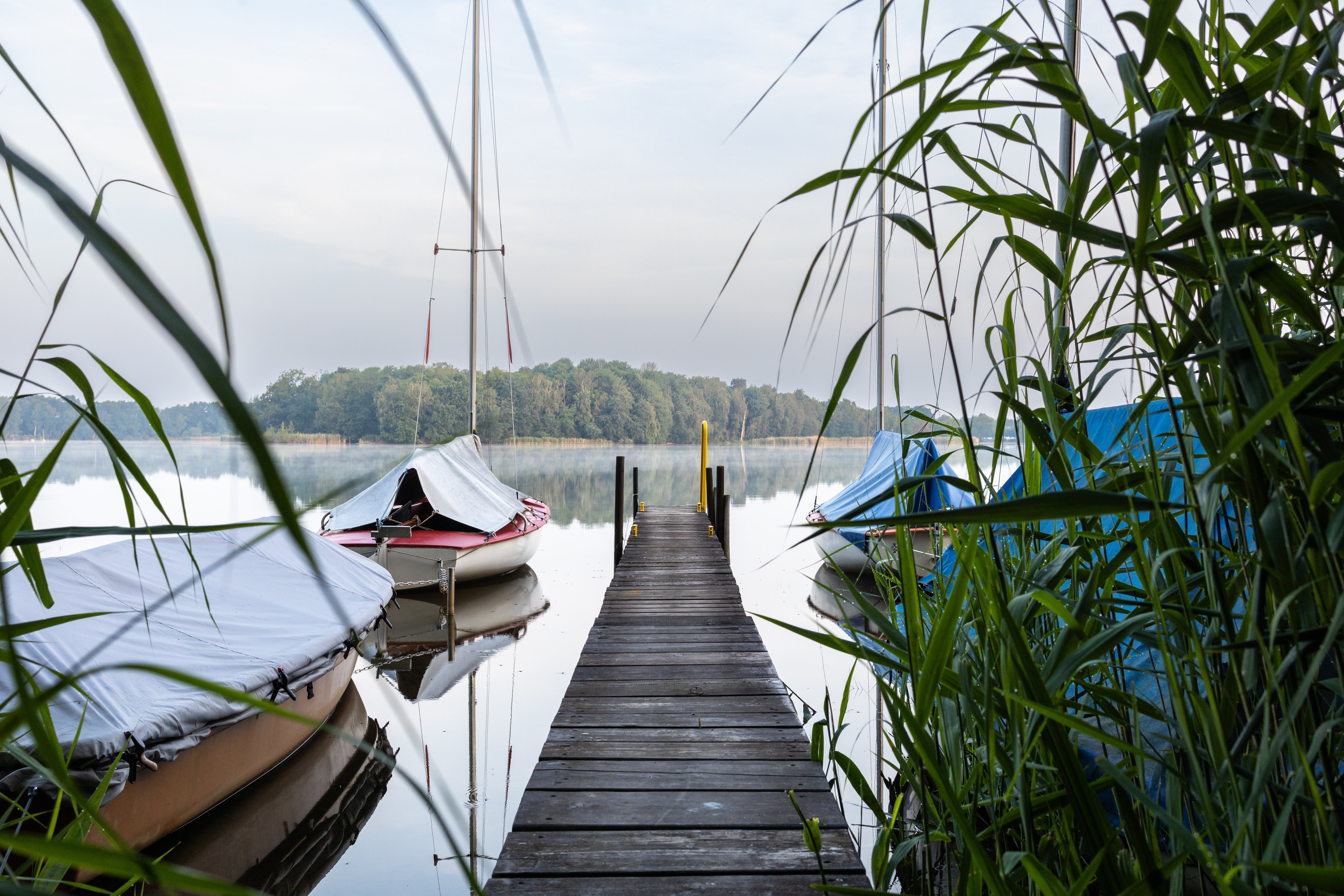 Abbildung Wartha Upper Lusatian heath and pond landscape