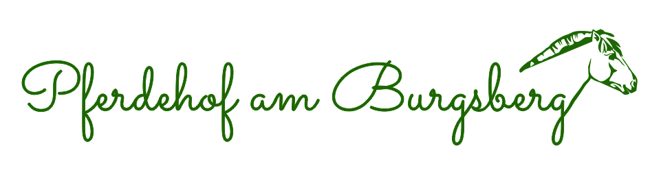 Logo des Anbieters